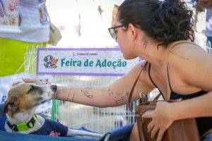 5ª edição do Vem pra Saraiva no Centro de Teresina (Foto: Lucas Dias/SEMCOM)