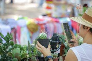 ‘’Vem Pra Saraiva’’ reúne arte, lazer e cultura no Centro de Teresina (Foto: Lucas Dias/SEMCOM)