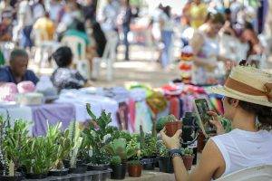 ‘’Vem Pra Saraiva’’ reúne arte, lazer e cultura no Centro de Teresina (Foto: Lucas Dias/SEMCOM)