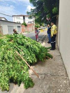 Foto: ASCOM/ETURB