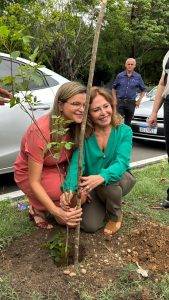 SEMAM participa de ação de plantio no TCE-PI e reforça compromisso com a arborização urbana (Foto: ASCOM/SEMAM)