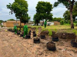 Ação de revitalização no Parque Sul (Foto: ASCOM/SDU Sul)