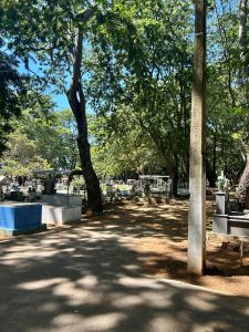 SDU Sudeste intensifica limpeza em cemitérios para o Dia das Mães (Foto: ASCOM/SDU Sudeste)